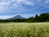 富士山花の都公園秋００２