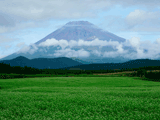 富士山十里木秋００３