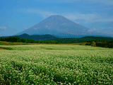 富士山十里木秋００６