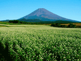 富士山十里木秋０１１