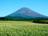 富士山十里木秋０１２