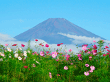 富士山十里木秋０１５
