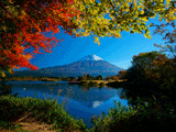 田貫湖（秋）の富士山写真素材（フリー素材）