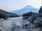 富士山田貫湖冬０１１