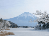 富士山田貫湖冬０１２
