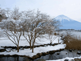 富士山田貫湖冬０１３