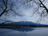 富士山田貫湖冬０３１