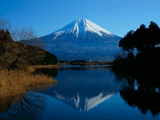 田貫湖（冬）の富士山写真素材（フリー素材）