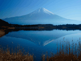 富士山田貫湖冬１０６