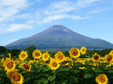 富士山花の都公園夏０１９